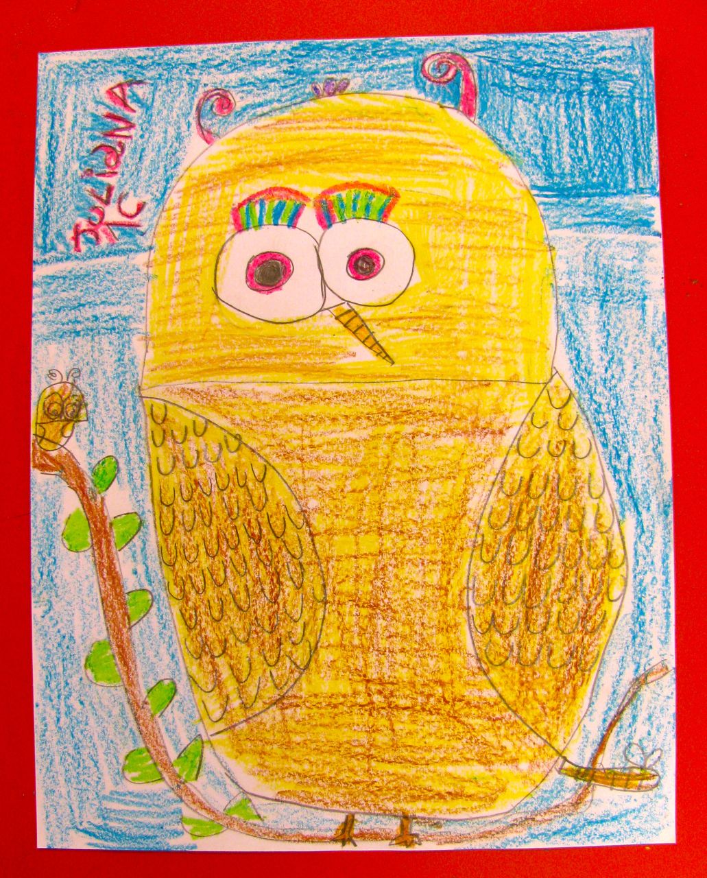 1031x1280 Teach How To Draw Gorgeous Owls In Grade One Alejandra Chavez