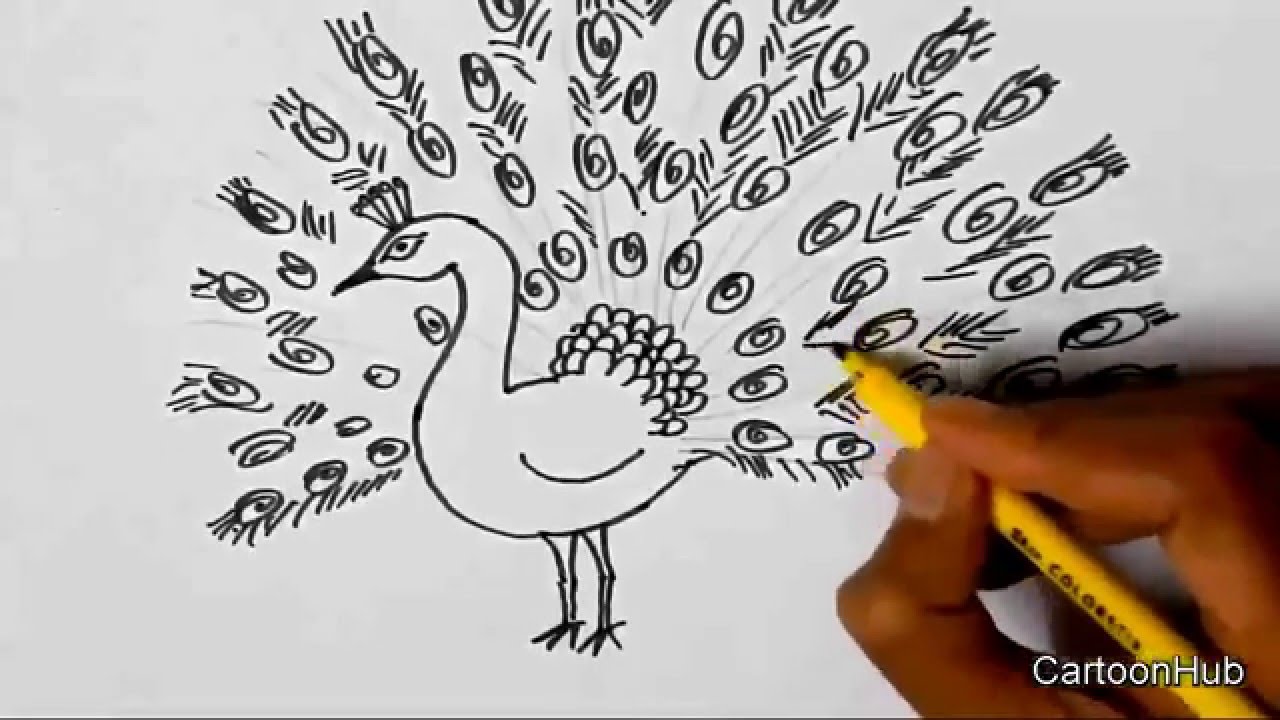 1280x720 How To Draw A Dancing Peacock For Children, Kids, Beginners Lesson