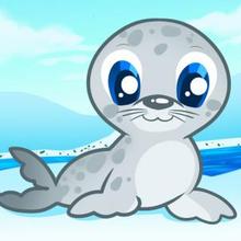 220x220 How To Draw How To Draw A Seal For Kids