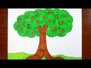 320x240 Tree Pictures Kids Drawing An Apple Tree Coloring Page