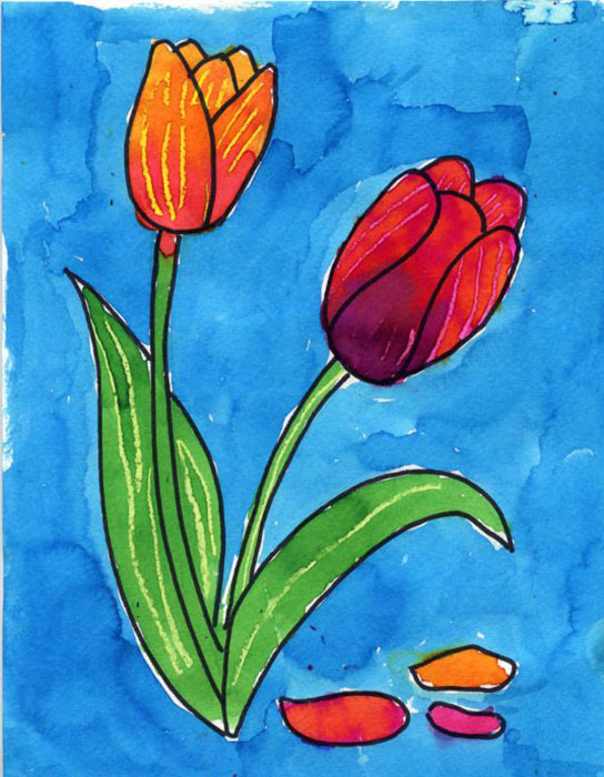 544x700 Draw A Tulip