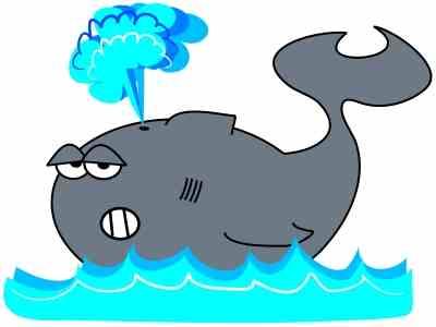 400x300 Killer Whale Games For Kids