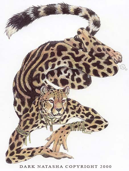 453x600 King Cheetah By Darknatasha