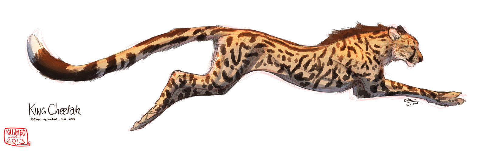 1608x497 King Cheetah By Kalambo