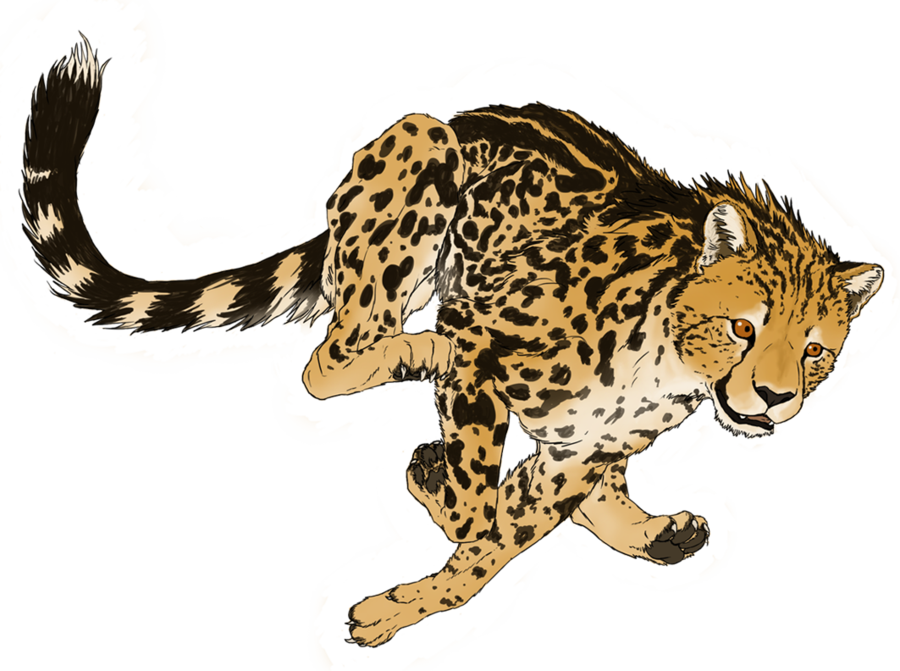 900x671 King Cheetah In Flight By Veggie Raptor