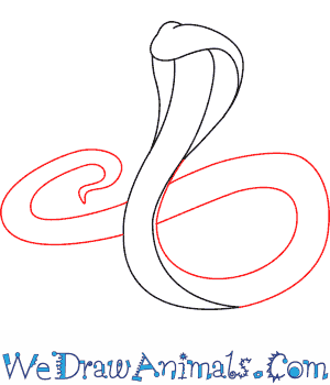 300x350 How To Draw A King Cobra
