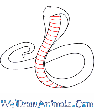 300x350 King Cobra 05.png