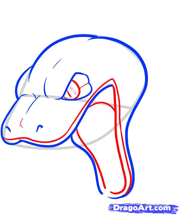 600x722 How To Draw A Snake Head, Draw Snake Heads Step 9 Snake