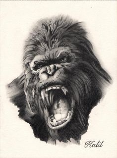 236x319 King Kong Fotoref