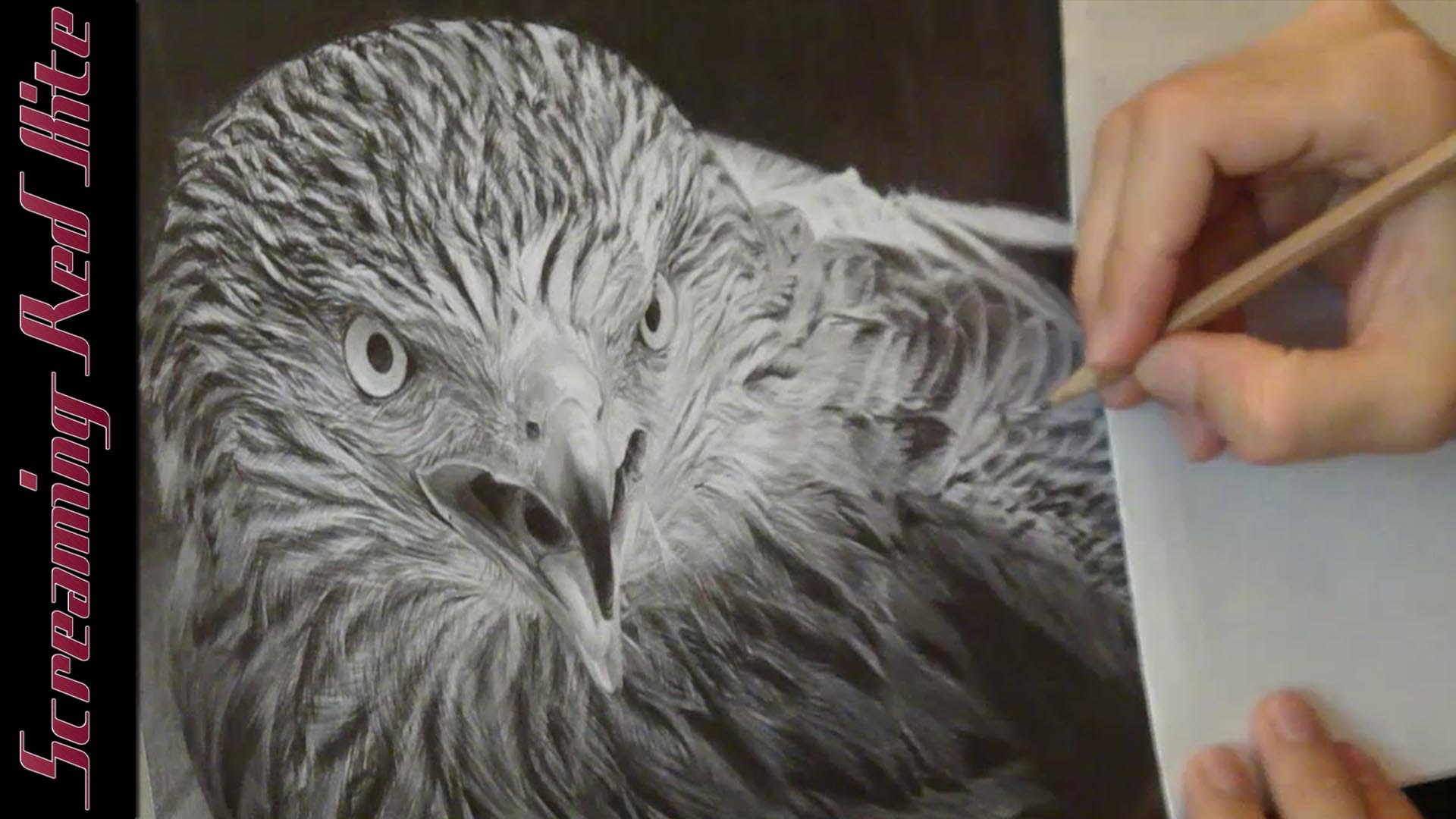 1920x1080 Screaming Red Kite Drawing