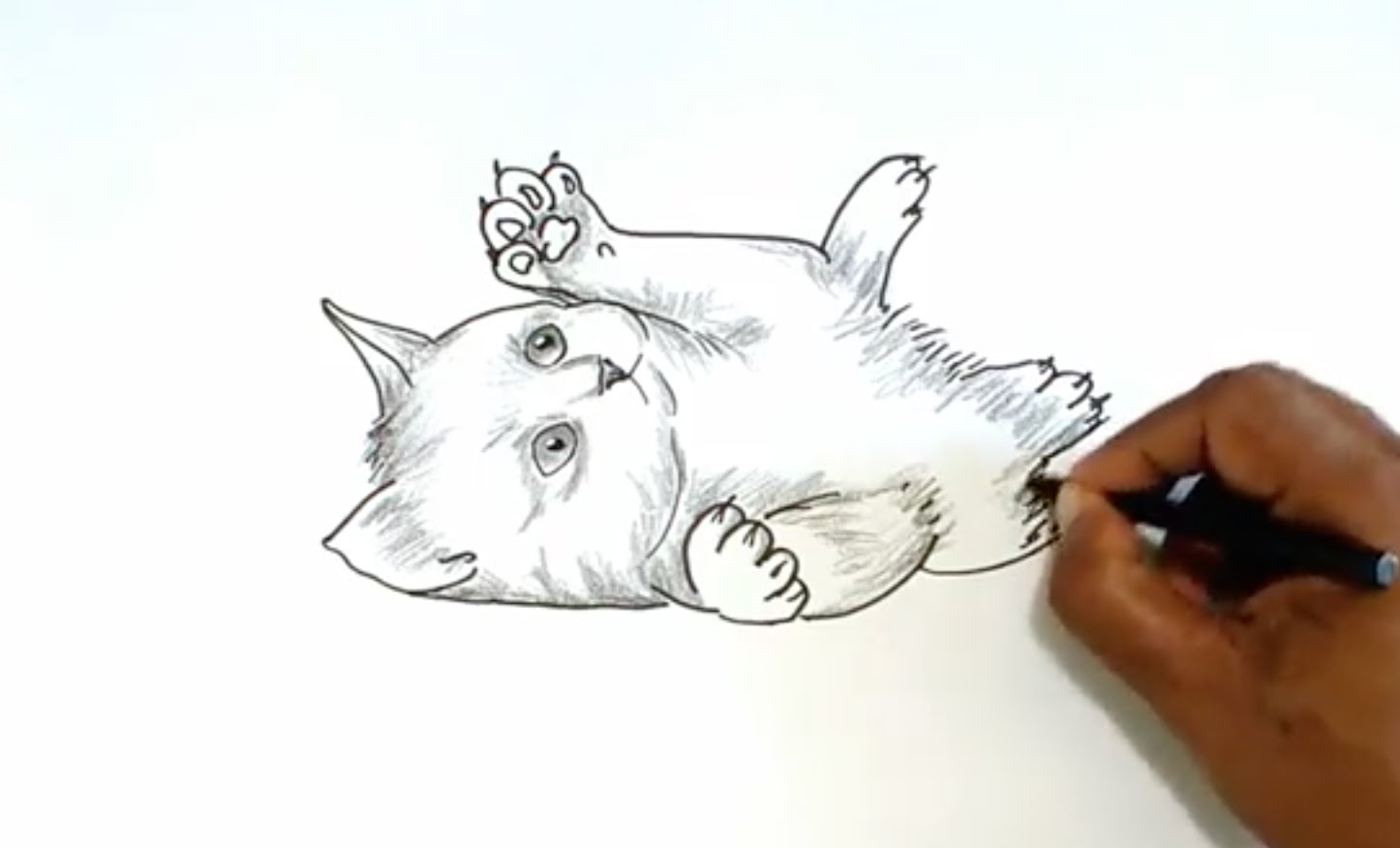 1446x876 How To Draw A Kitten