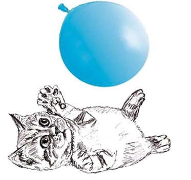 373x350 How To Draw A Kitten