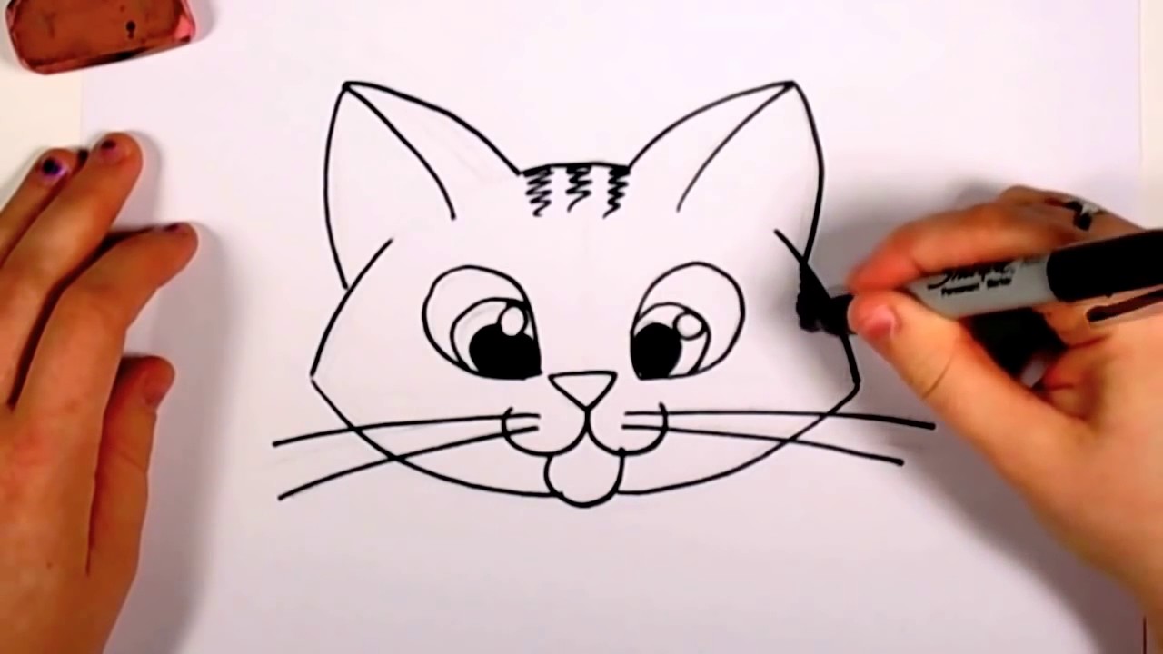Kitten Face Drawing at GetDrawings | Free download
