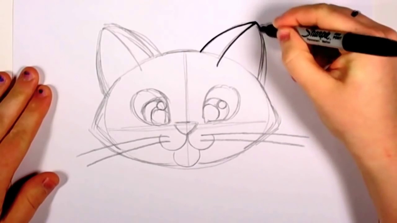 1280x720 How To Draw A Cute Kitten Face