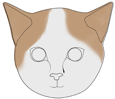 396x341 How To Draw A Realistic Cat's Face 11 Steps (With Pictures)