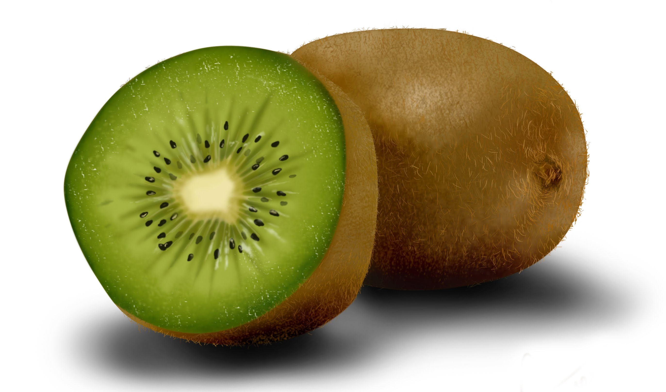 2745x1617 How To Draw The Realistic Kiwi Fruit