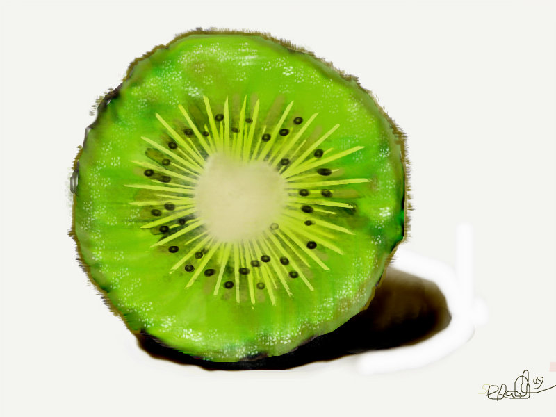 800x600 Kiwi A Still Life Speedpaint Drawing By Royalmia