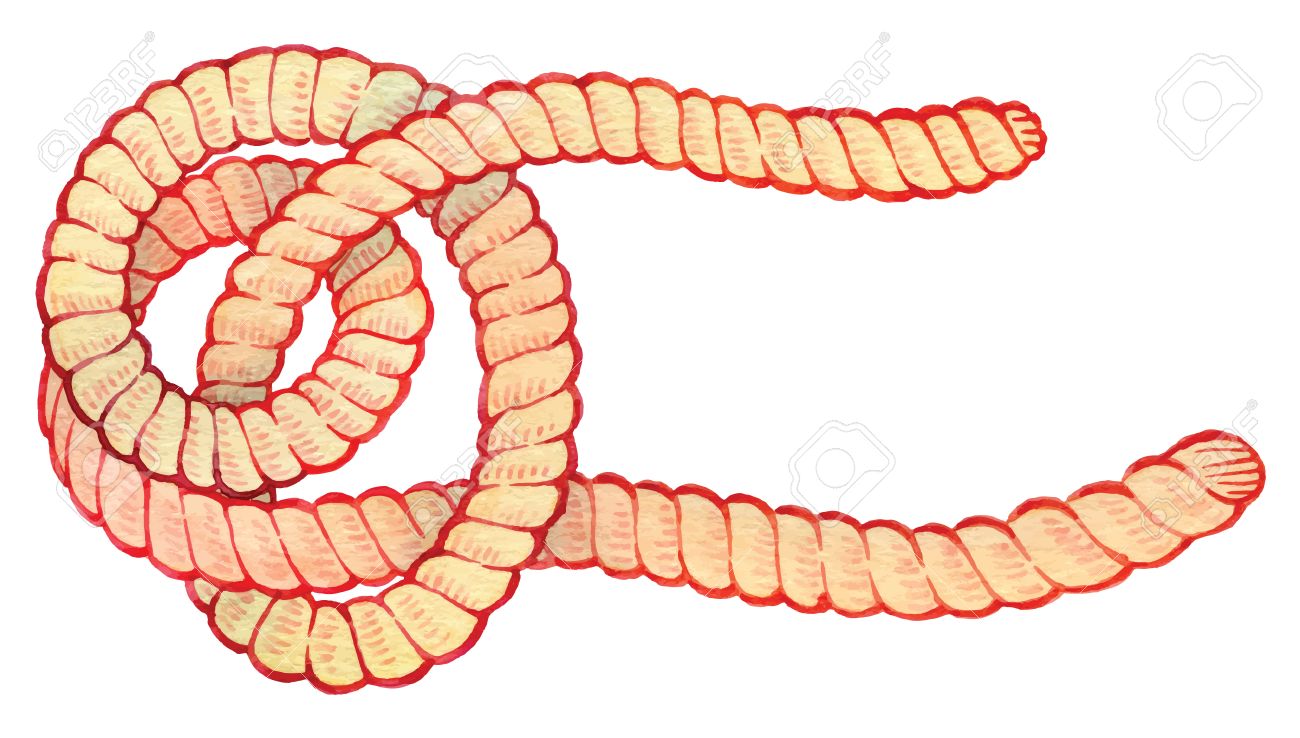 1300x738 Painted Watercolor Hand Drawing Knot