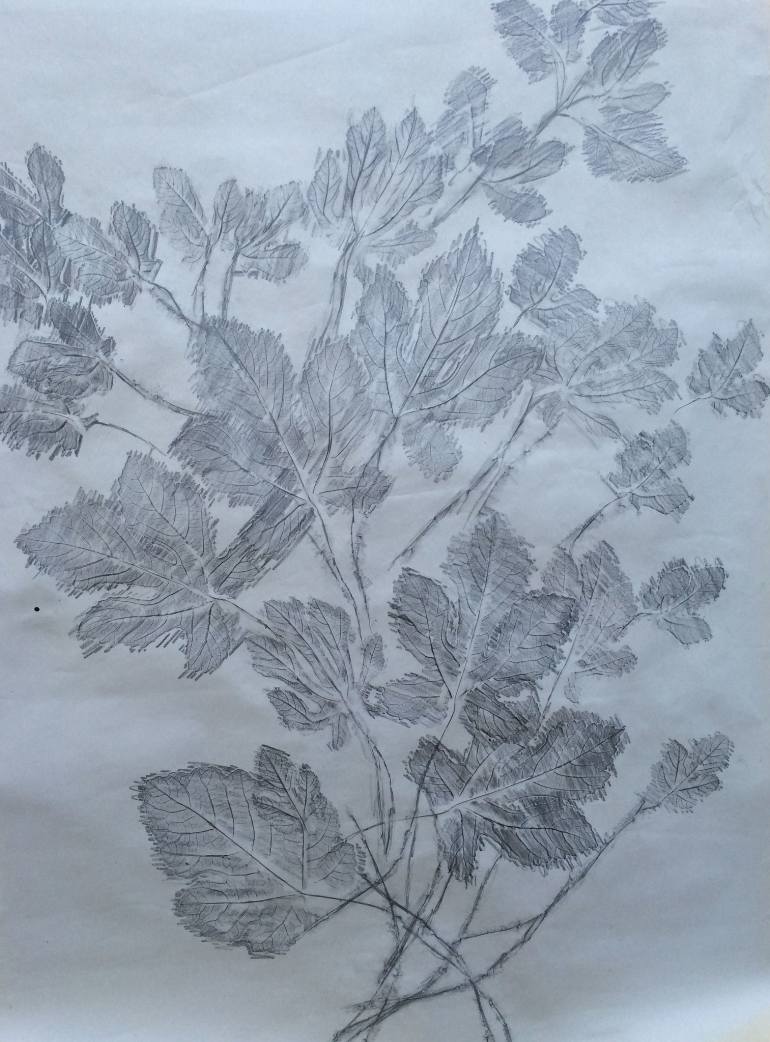 770x1042 Saatchi Art The Tree Of Knowledge Drawing By Adina Shpigler Kayra