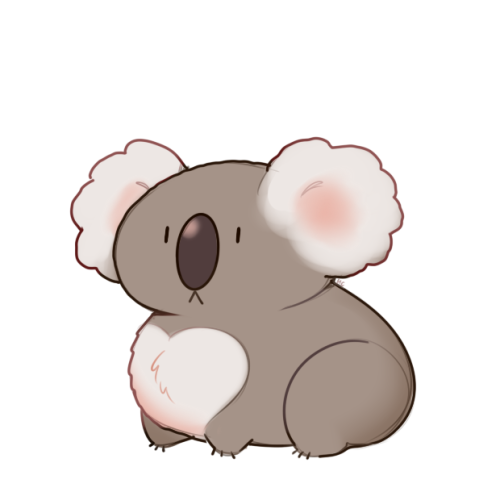 500x492 Koala Drawing Tumblr
