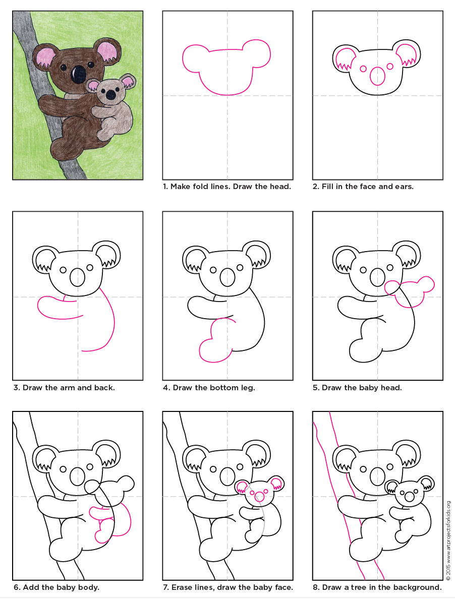 902x1188 Koala Diagram, Drawings And Doodles