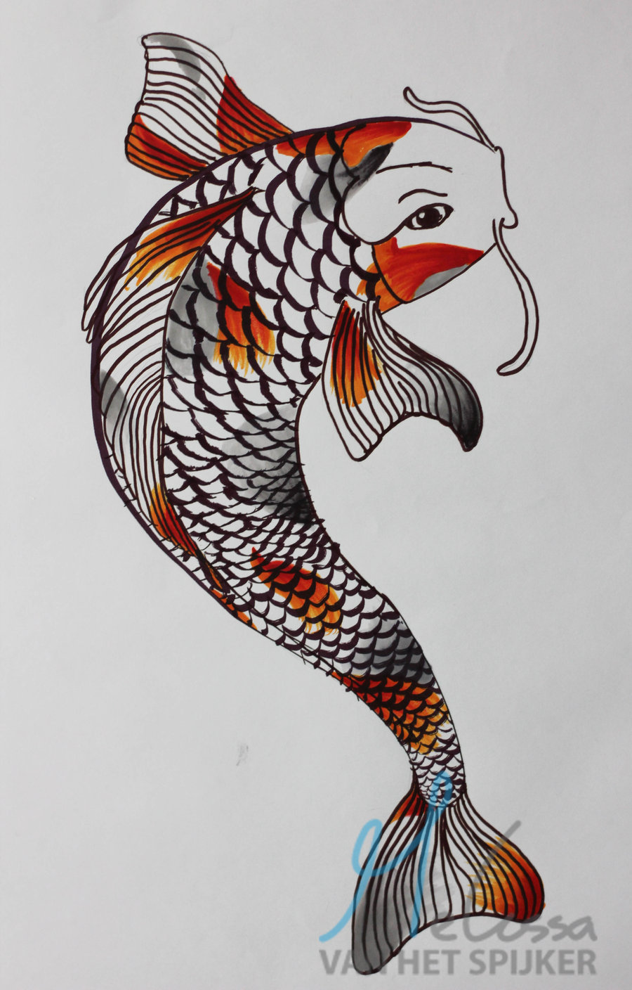 900x1408 Koi