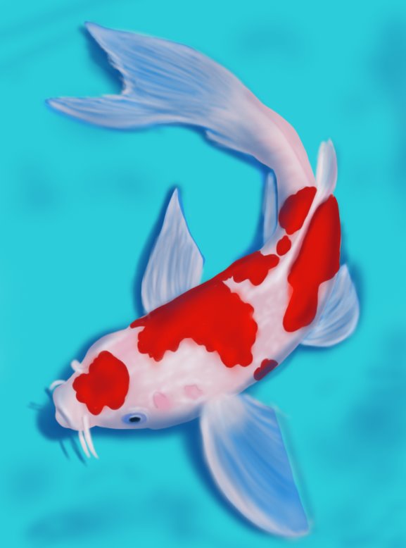 577x778 Learn How To Draw A Koi Fish (Fishes) Step By Step Drawing Tutorials