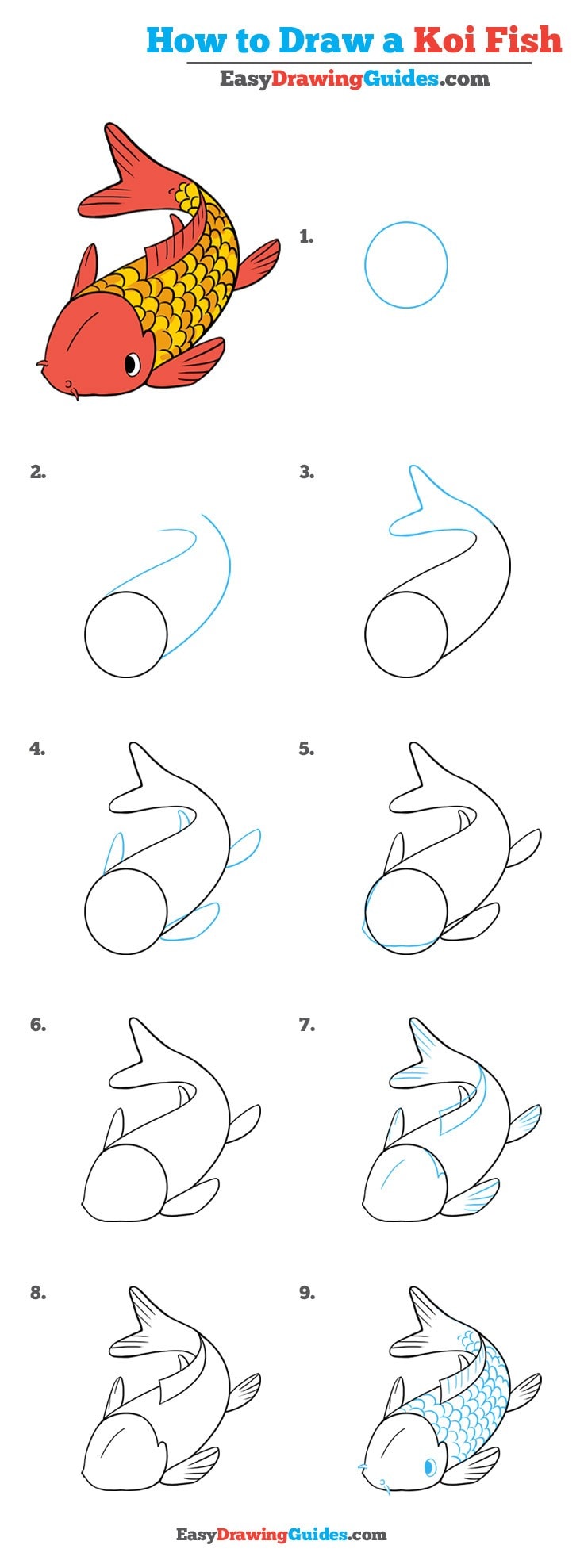 736x1977 How To Draw A Koi Fish