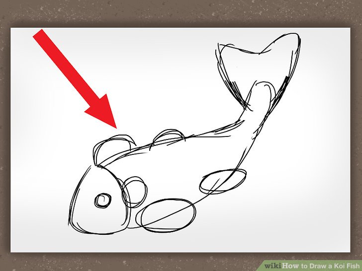 728x546 How To Draw A Koi Fish 7 Steps (With Pictures)