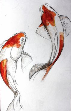 236x369 Koi Fish Tumblr Koi, Fish And Watercolor