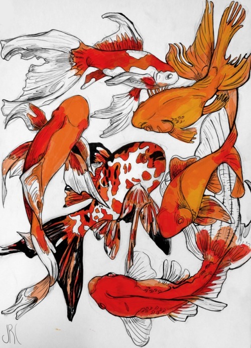 500x694 Traditional Koi Fish Tumblr