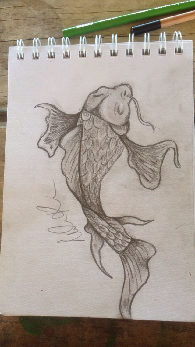 Koi Fish Pencil Drawing at GetDrawings | Free download