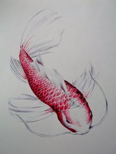 236x314 Pencil Drawings Of Fish Dancing With Fish