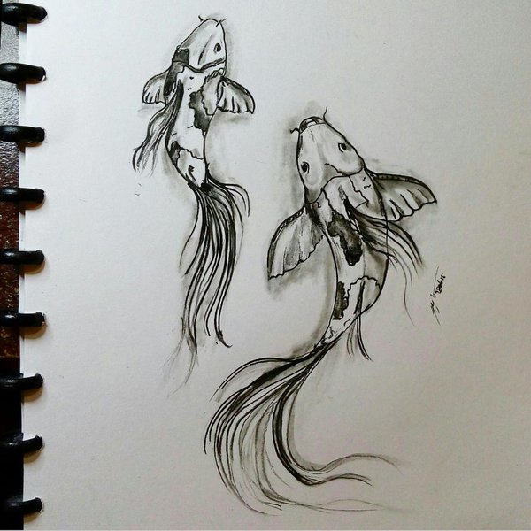 Koi Fish Pencil Drawing at GetDrawings | Free download