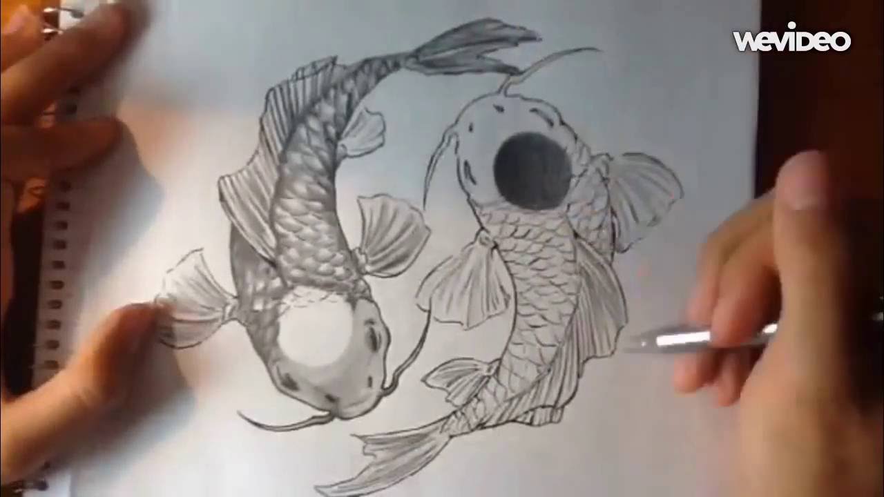 1280x720 Yin Yang Koi Fish