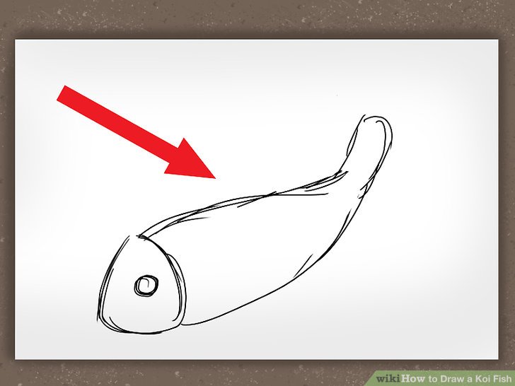 728x546 How To Draw A Koi Fish 7 Steps (With Pictures)