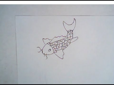 480x360 How To Draw A Koi Fish (Simple Drawing)