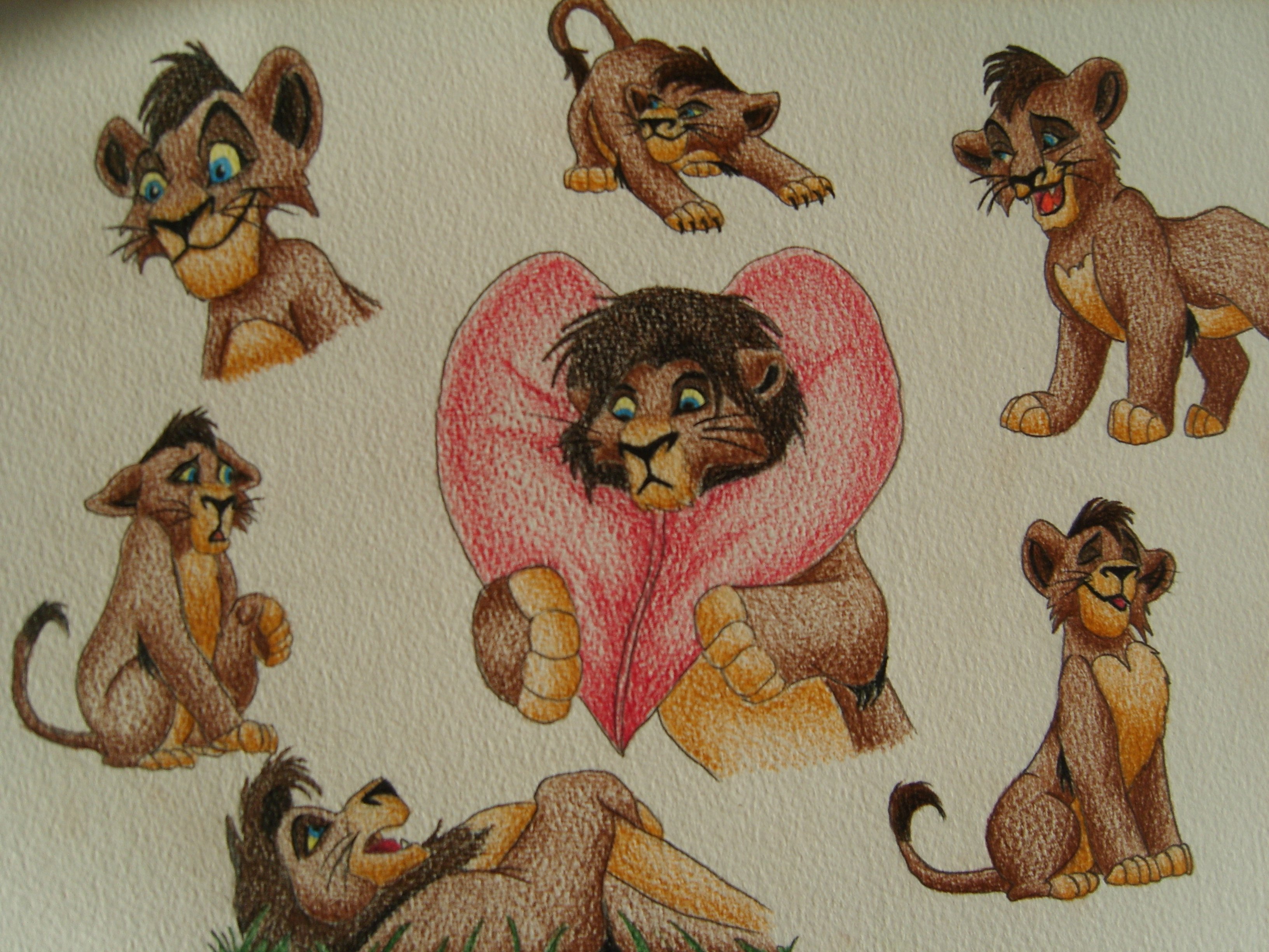 3264x2448 Kovu By Emmylou1012