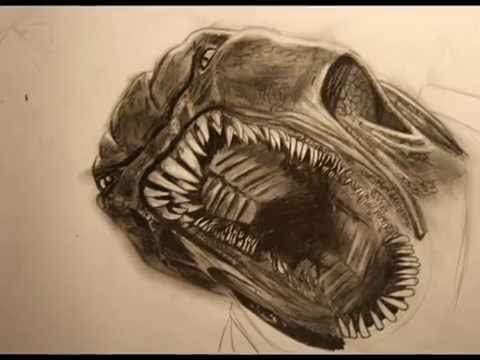 480x360 Amazing Drawing Clash Of The Titans Wallpaper Kraken