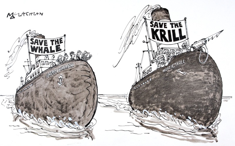 800x496 Save The Krill By Edward Mclachlan
