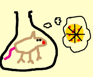 300x250 Lab Mouse Thinking About Pizza