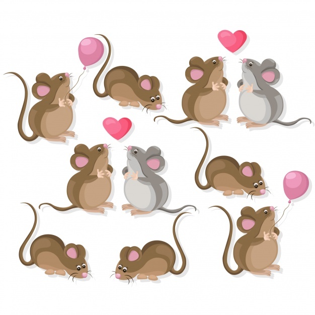 626x626 Mouse Vectors, Photos And Psd Files Free Download