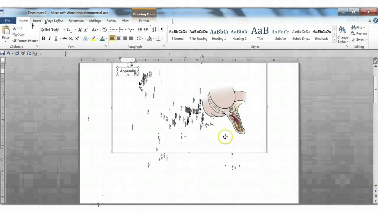 1280x720 Using The Drawing Canvas To Label An Image (Word 2010)