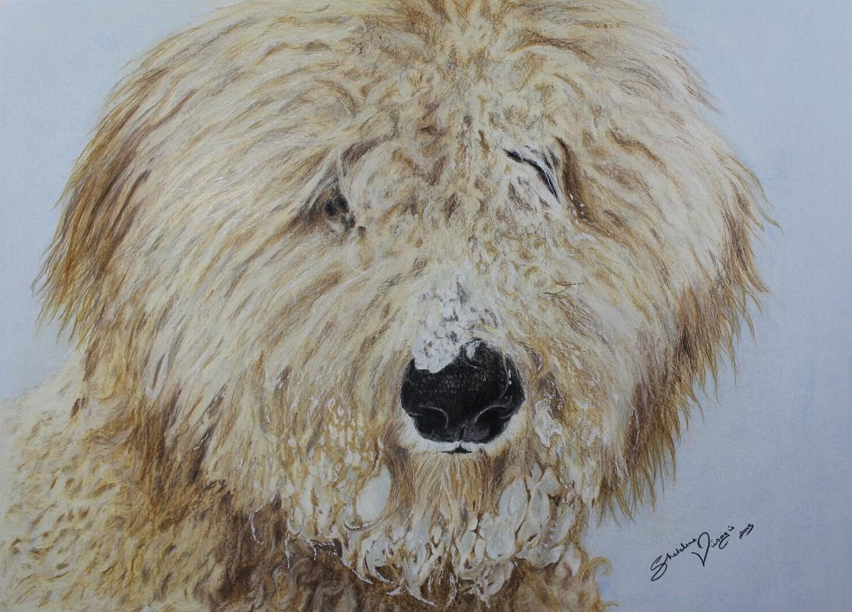 1195x858 Timelapse Tutorial