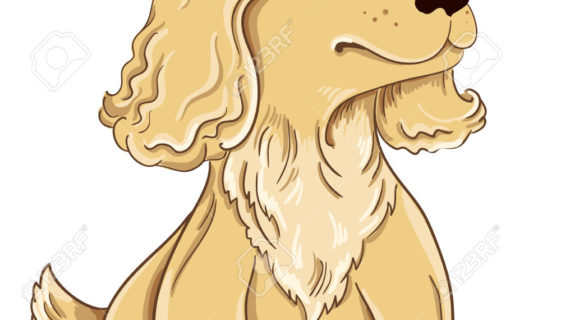 570x320 Puppy Cartoon Drawing Labrador Puppy