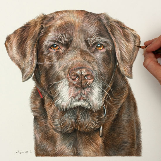 550x550 Pencil Portrait Artist Charlie