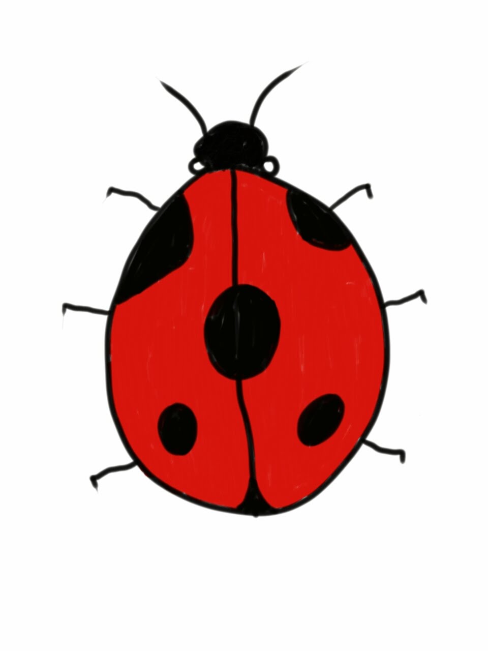 960x1280 How To Draw And Colour A Basic Ladybird (Ladybug)
