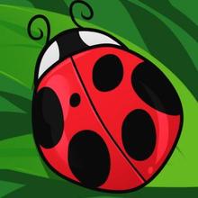 220x220 How To Draw How To Draw A Ladybug For Kids
