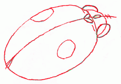 250x175 Exam Guide Online