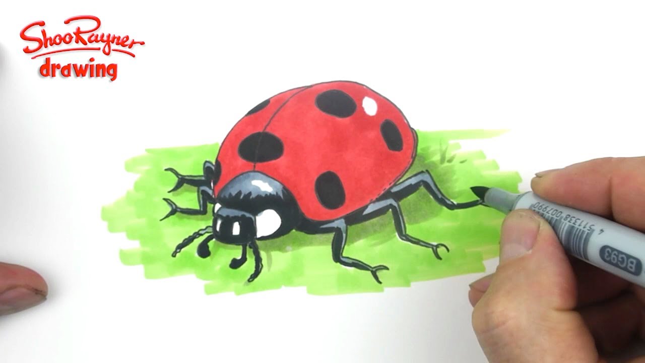 1280x720 How To Draw A Cute Ladybug
